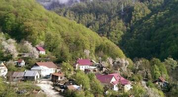 Фотографии Гостиница Guest House Vito г. Сочи Краснодарский край (Россия) №1 Фото Гостиница Guest House Vito г. Сочи 1