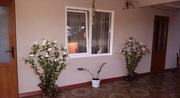 Фотографии Гостиница Guest House Anna г. Сочи Краснодарский край (Россия) №2 Фото Гостиница Guest House Anna г. Сочи 2