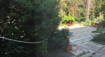 Фото номера Апартаменты-студио Апартаменты Apartment Delphin г. Сочи 14