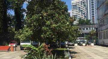 Фото номера Апартаменты с видом на море Апартаменты Apartment Delphin г. Сочи 8