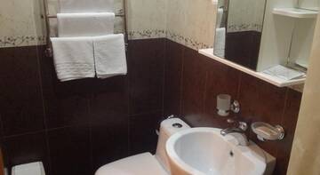 Фото номера Стандартный двухместный номер с 1 кроватью Гостевой дом Мини-гостиница Елизавета г. Сочи 6