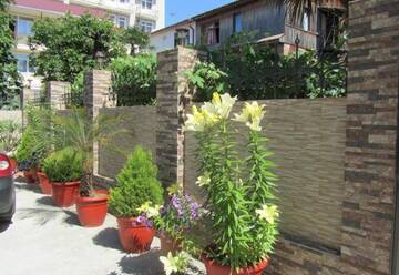 Фото Гостиница Lidiya Guest House г. Сочи 4