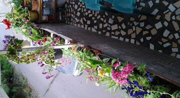 Фото номера Номер &quot;Стандарт&quot; Гостиница Гостевой Дом «Кипарисовая» г. Сочи 38