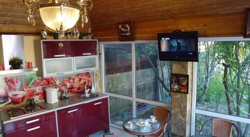 Фото номера Номер &quot;Стандарт&quot; Гостиница Diana Guest House г. Сочи 46