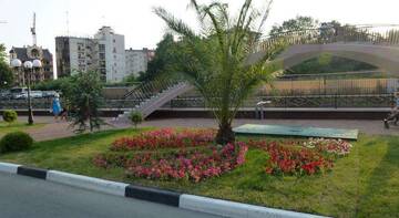 Фото номера Номер &quot;Стандарт&quot; Гостиница Diana Guest House г. Сочи 69