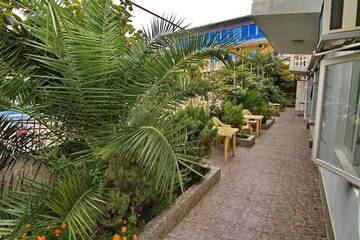 Фото номера Стандартный семейный номер Гостиница Lazur Guest House г. Сочи 12