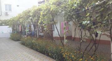 Фото номера Номер &quot;Стандарт&quot; Гостиница Nadezhda Guest House г. Сочи 19