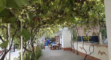 Фото номера Номер &quot;Стандарт&quot; Гостиница Nadezhda Guest House г. Сочи 17