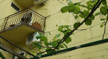 Фото номера Номер &quot;Стандарт&quot; Гостиница Гостевой Дом Курортный Рай г. Сочи 55