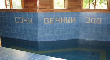 Фото номера Номер  Гостиница Вечный Зов г. Сочи 12