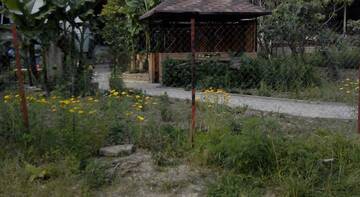 Фото номера Номер &quot;Стандарт&quot; Гостиница Guest House Palm г. Сочи 121
