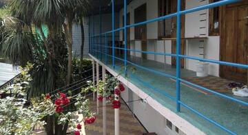 Фото номера Номер &quot;Стандарт&quot; Гостиница Guest House Palm г. Сочи 88