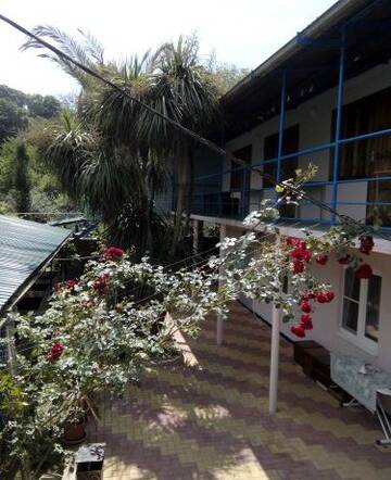 Фото номера Номер &quot;Стандарт&quot; Гостиница Guest House Palm г. Сочи 17