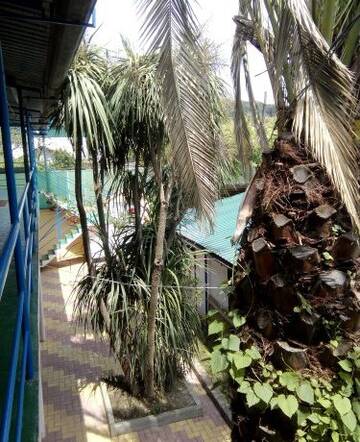 Фото Гостиница Guest House Palm г. Сочи 3
