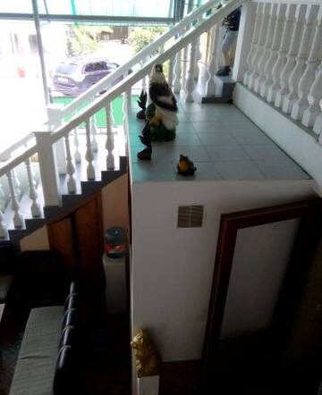 Фото номера Номер &quot;Стандарт&quot; Гостиница Guest House Palm г. Сочи 52