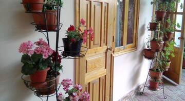 Фото номера Номер &quot;Стандарт&quot; Гостиница Guest House Palm г. Сочи 55
