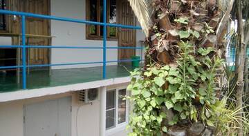 Фото номера Номер &quot;Стандарт&quot; Гостиница Guest House Palm г. Сочи 83
