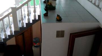 Фото номера Номер &quot;Стандарт&quot; Гостиница Guest House Palm г. Сочи 142