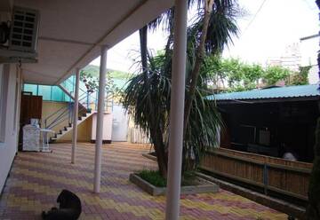 Фото номера Номер &quot;Стандарт&quot; Гостиница Guest House Palm г. Сочи 16