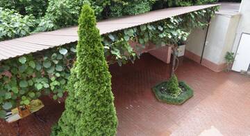 Фото Гостиница Komsomolskaya 38A Guest house г. Сочи 4