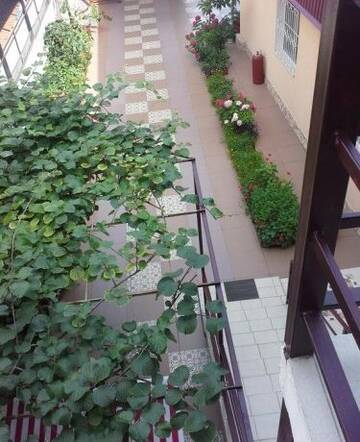 Фото номера Номер &quot;Стандарт&quot; Гостиница Guest House Eucalyptus г. Сочи 35