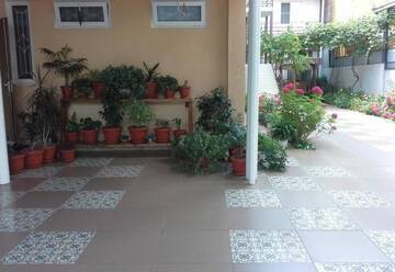 Фото номера Номер &quot;Стандарт&quot; Гостиница Guest House Eucalyptus г. Сочи 31
