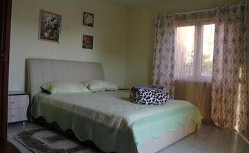 Фото Гостиница Olga Mini Hotel г. Сочи 2