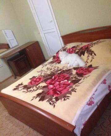 Фото номера Номер &quot;Стандарт&quot; Гостиница Irina Guest House г. Сочи 35