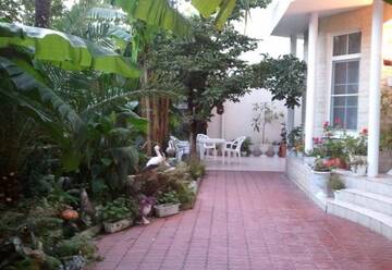 Фото номера Номер &quot;Стандарт&quot; Гостиница Svetlana Guest House г. Сочи 7