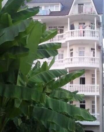 Фото номера Номер &quot;Стандарт&quot; Гостиница Svetlana Guest House г. Сочи 17