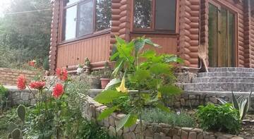 Фото номера Дом для отпуска Гостевой дом Holiday Home Podkova г. Сочи 14