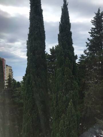 Фото номера Апартаменты стандарт с 1 спальней Гостиница Joy Apartments г. Сочи 13